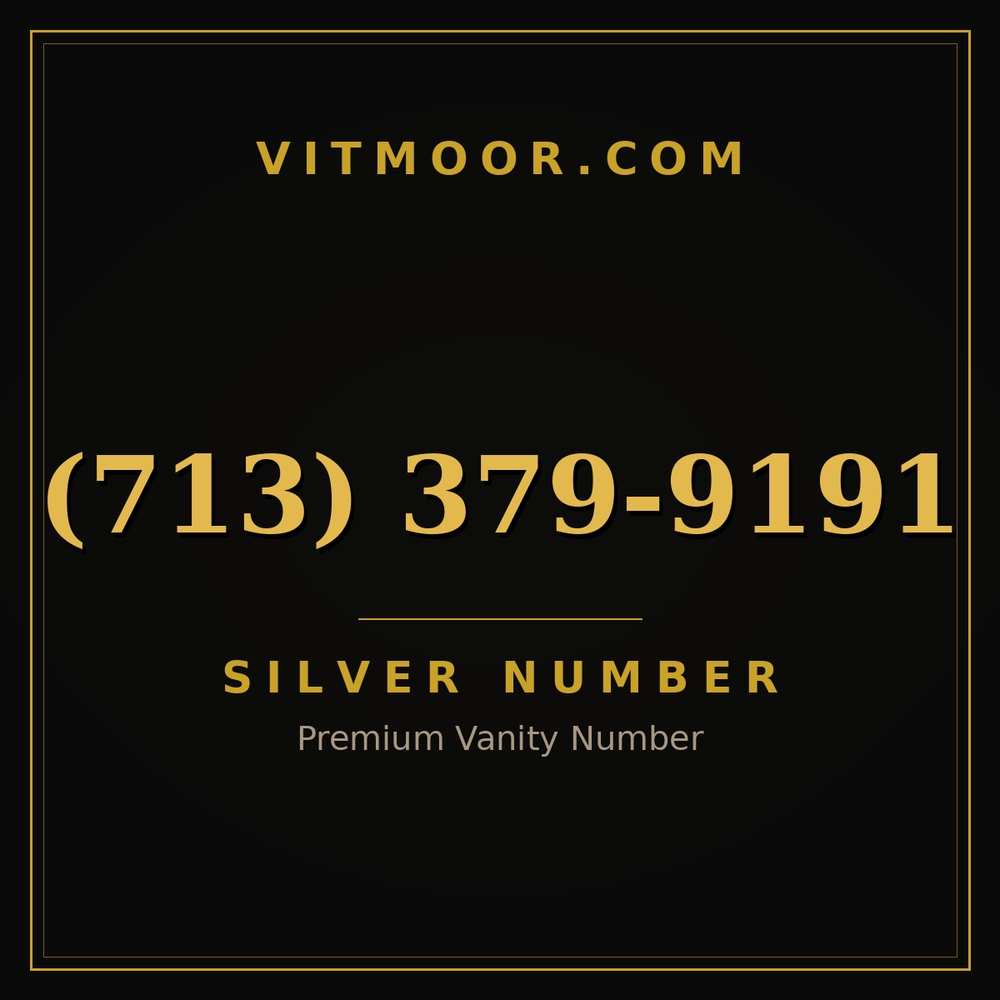 713 379-9191