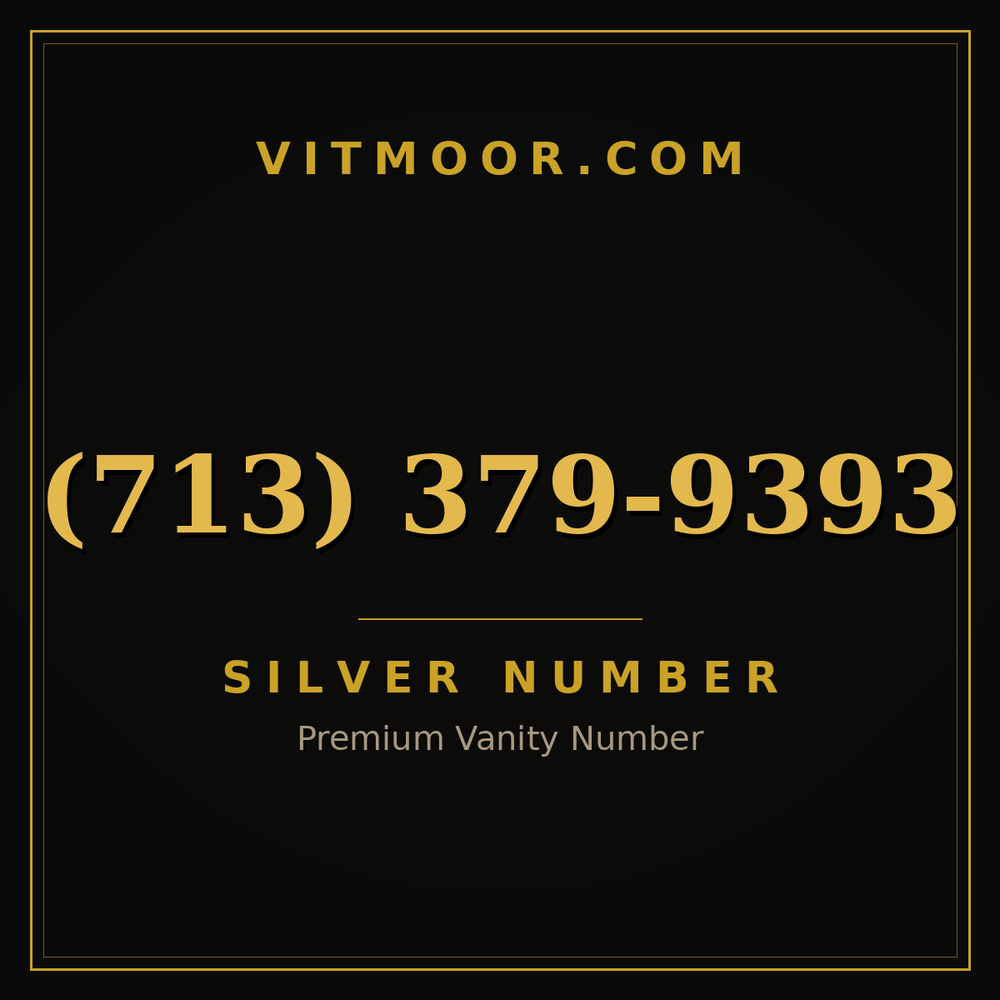 713 379-9393