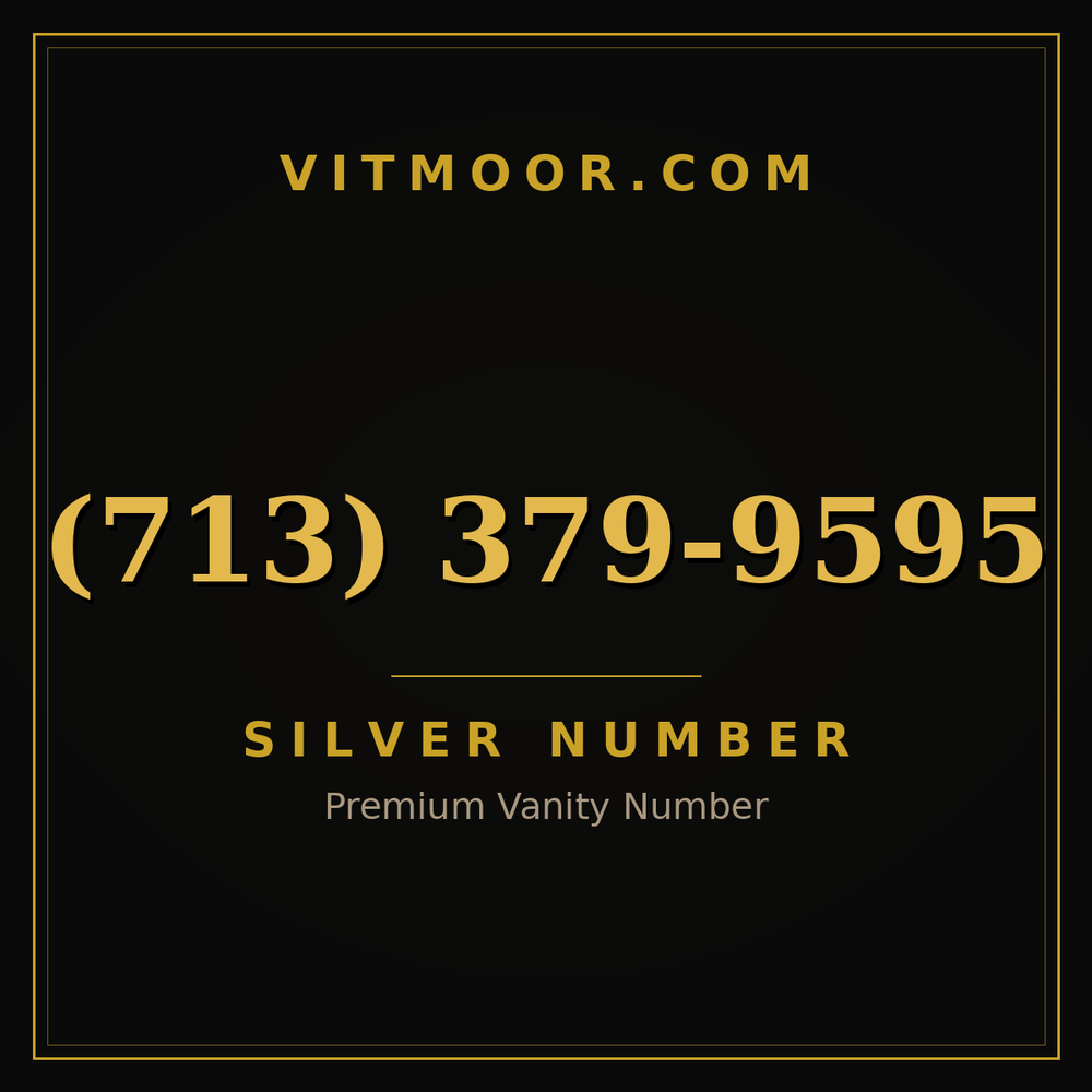 713 379-9595