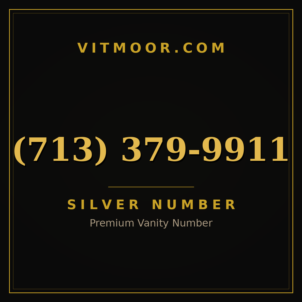 713 379-9911