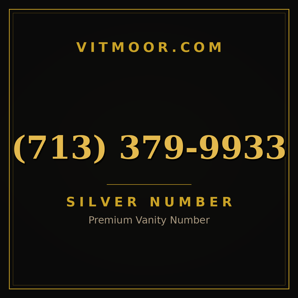 713 379-9933