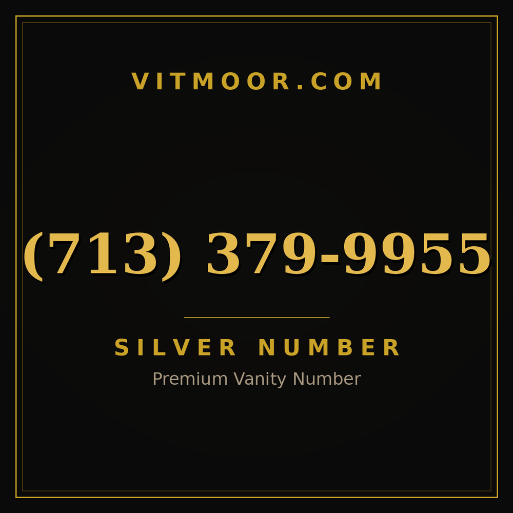 713 379-9955