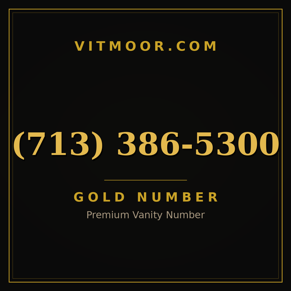 713 386-5300