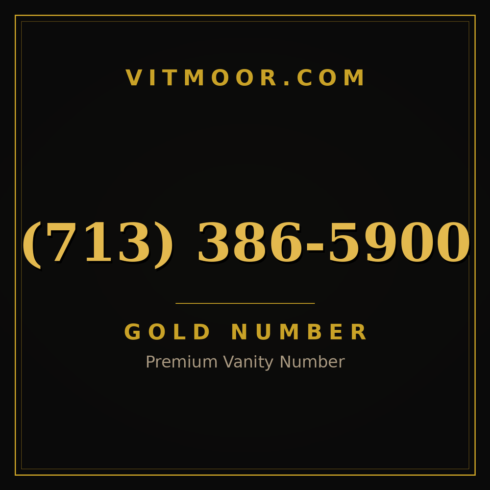 713 386-5900
