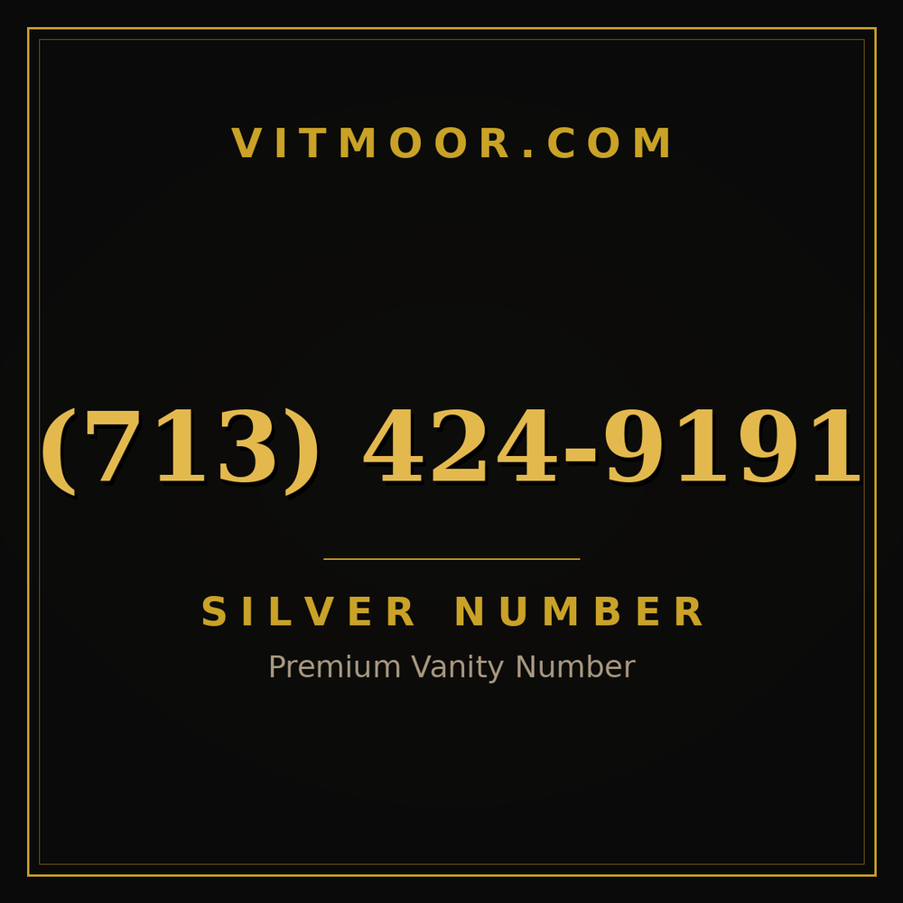 713 424-9191