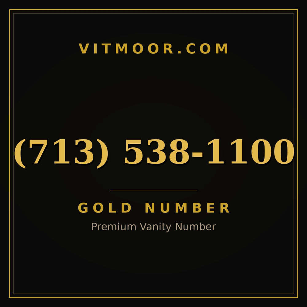 713 538-1100