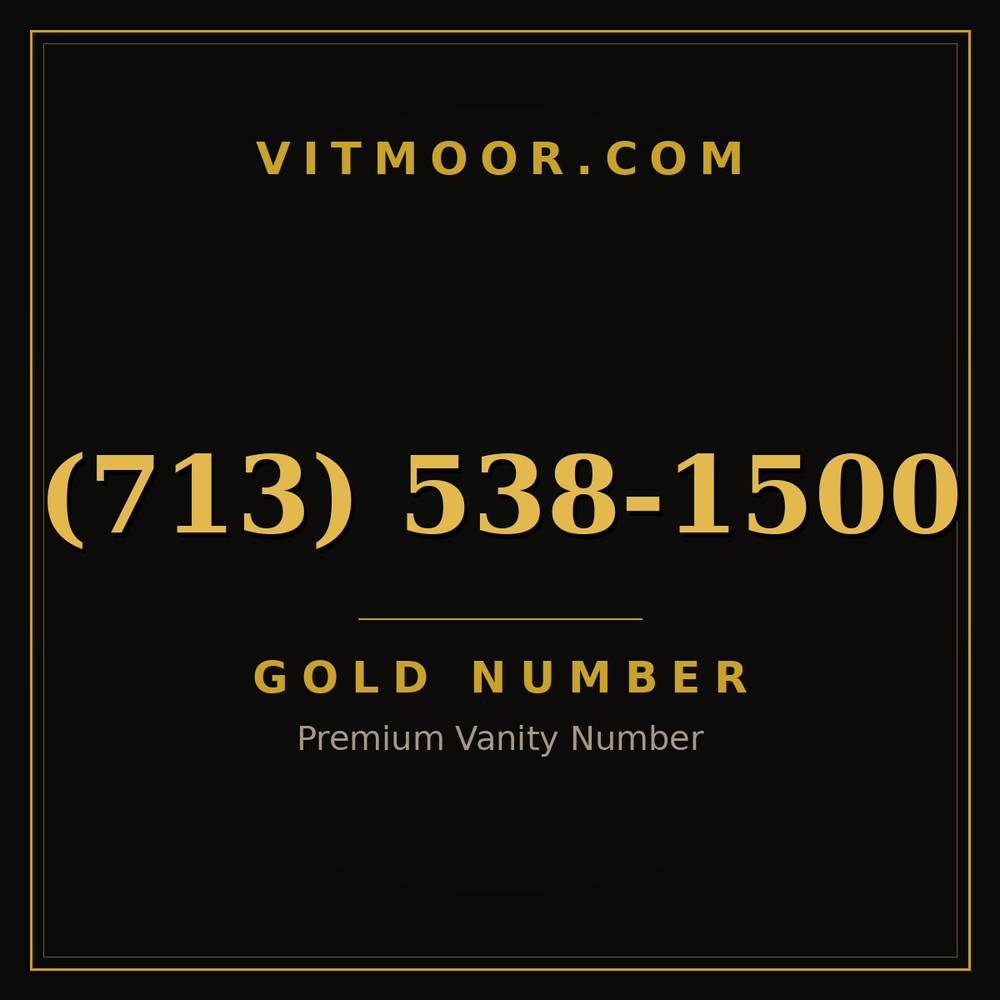 713 538-1500