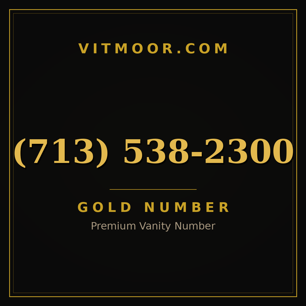 713 538-2300