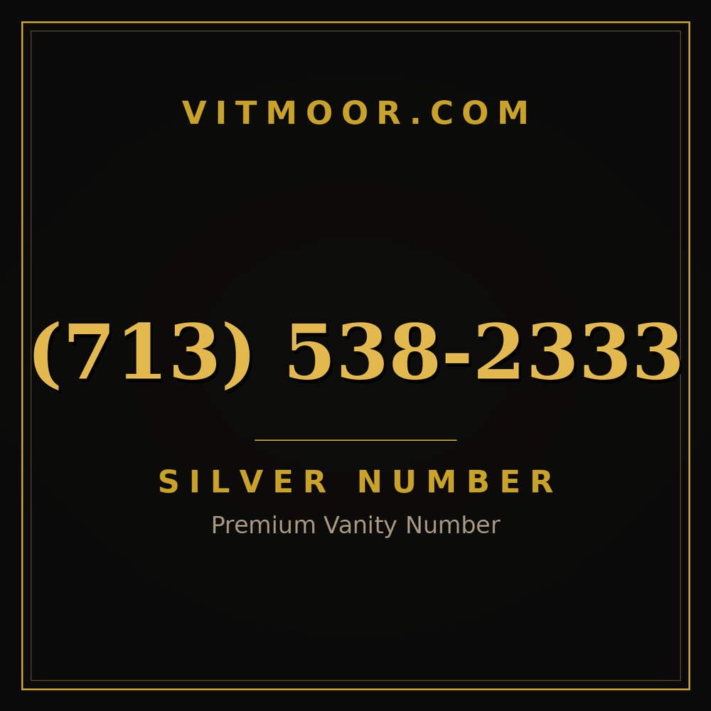 713 538-2333