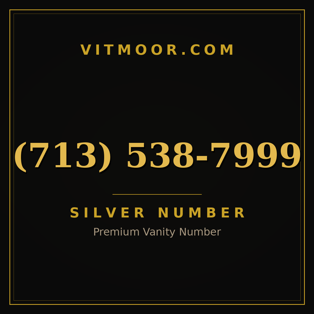713 538-7999