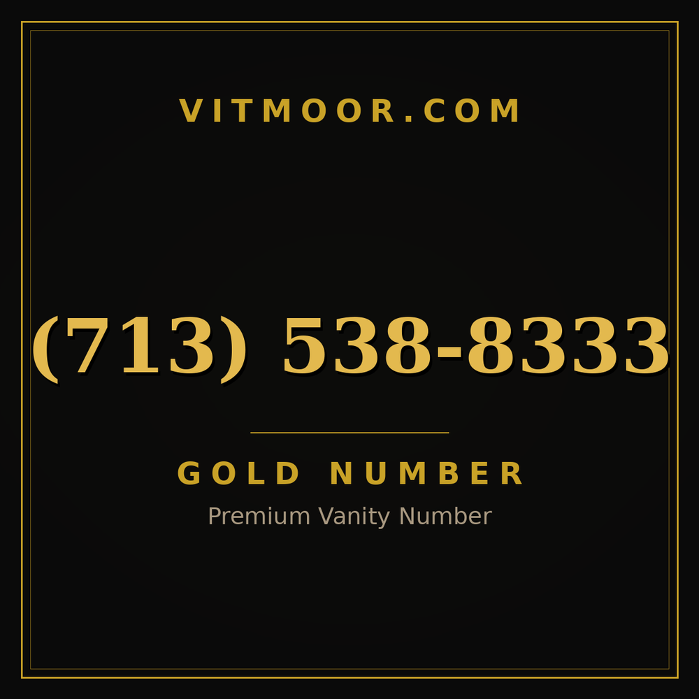 713 538-8333