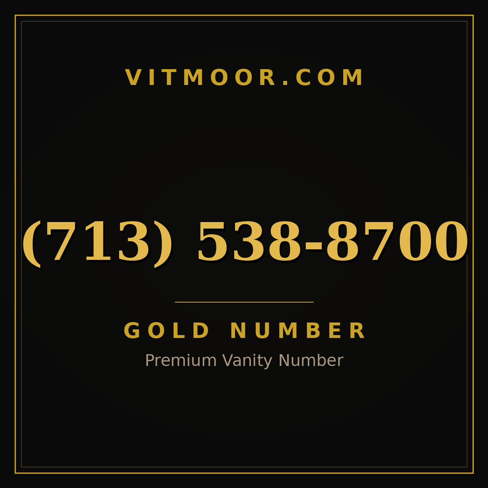 713 538-8700