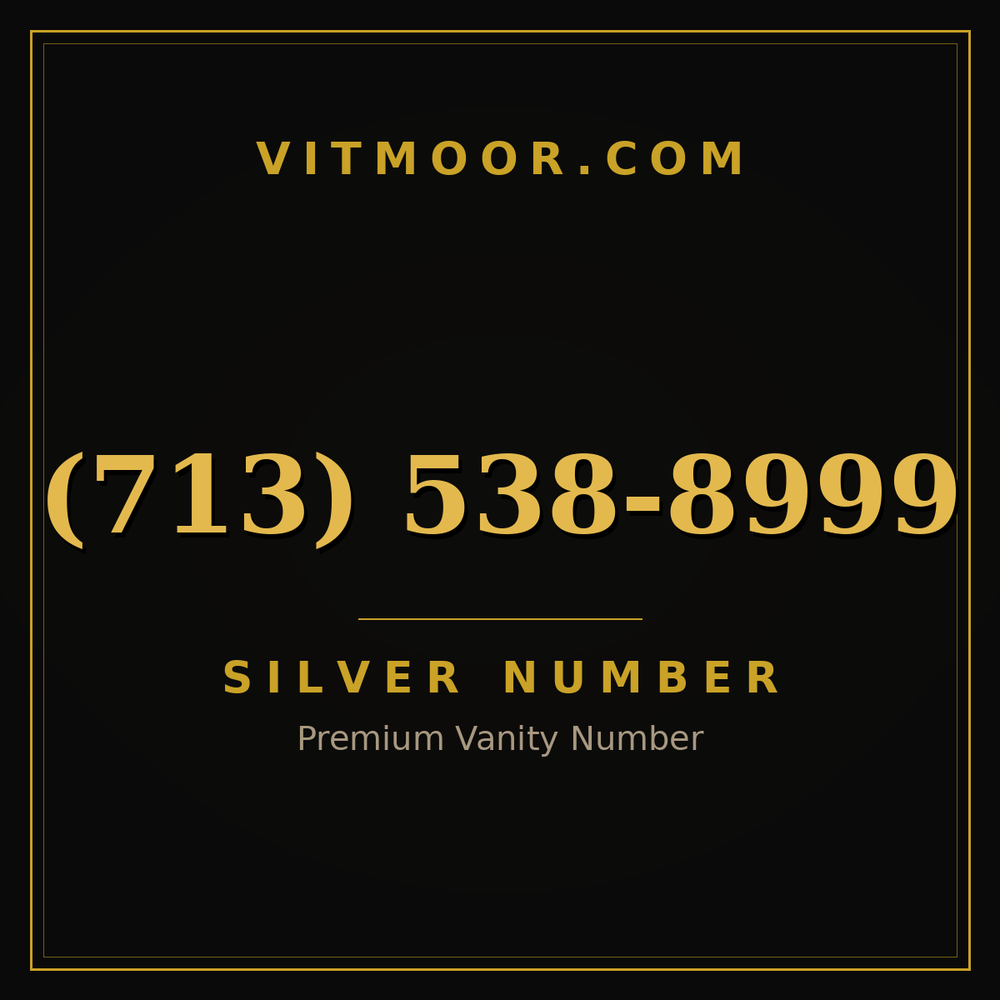 713 538-8999