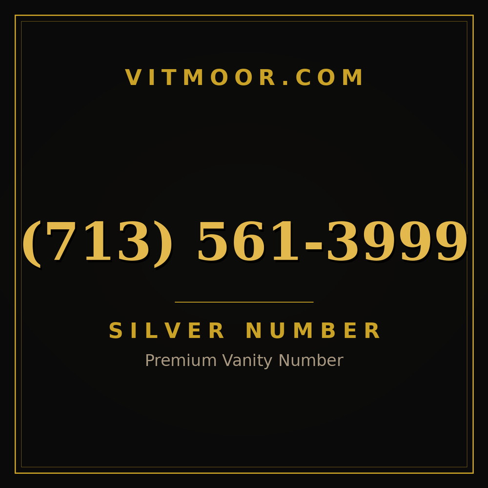 713 561-3999
