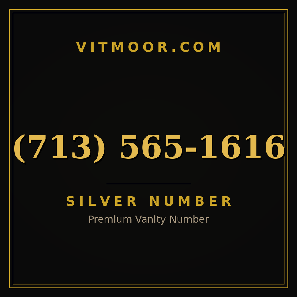 713 565-1616