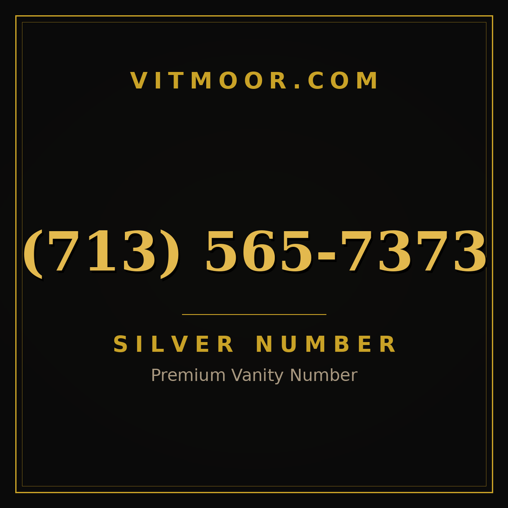 713 565-7373