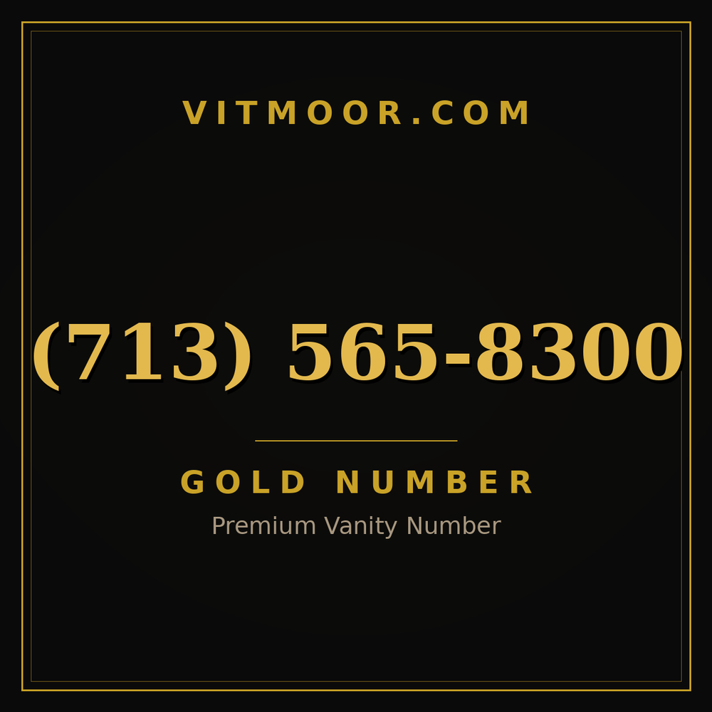 713 565-8300