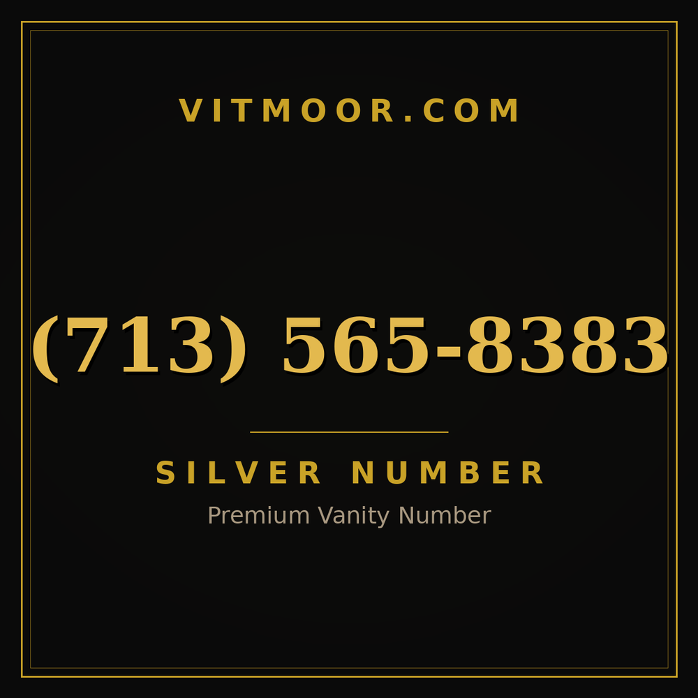 713 565-8383