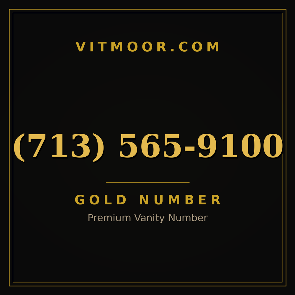 713 565-9100