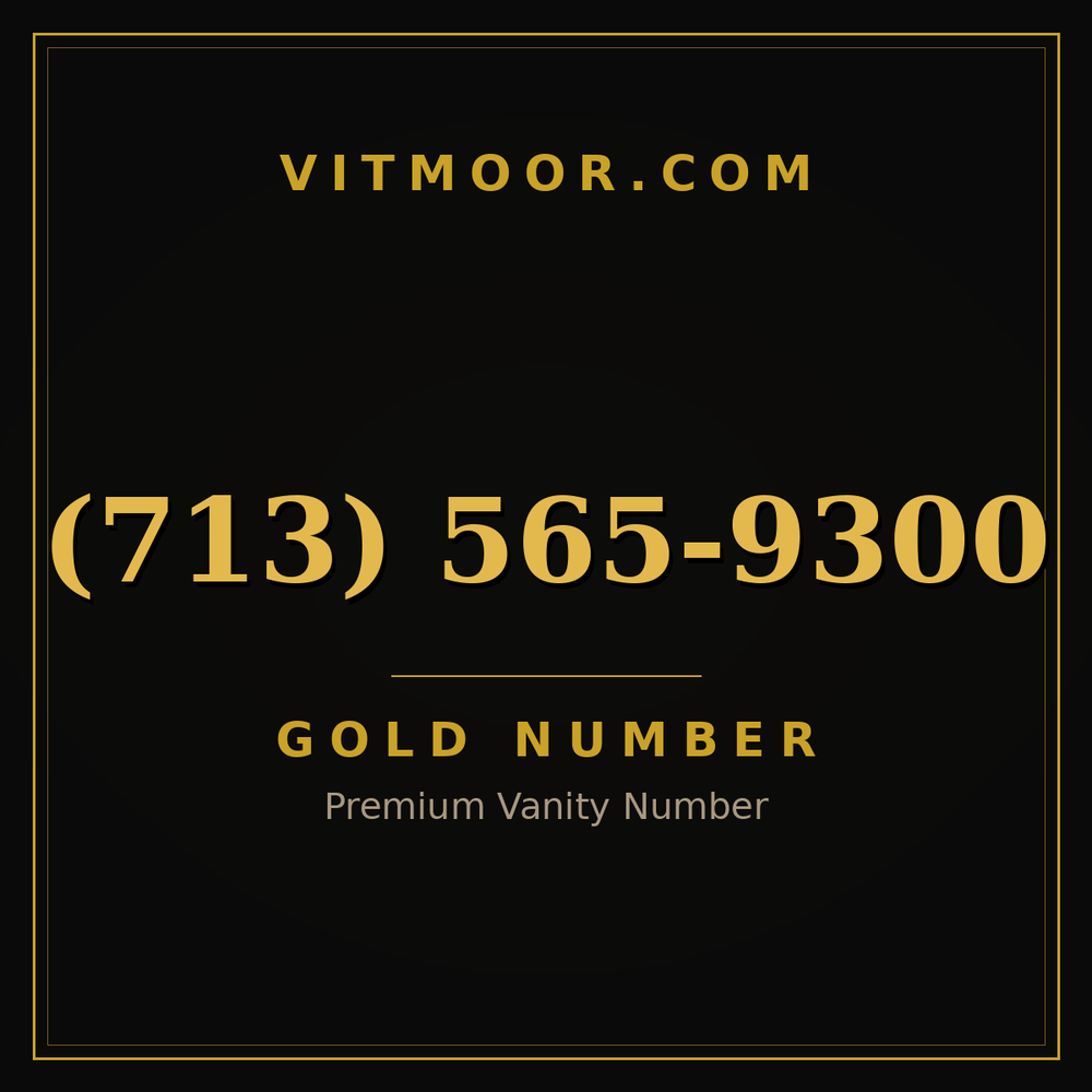 713 565-9300