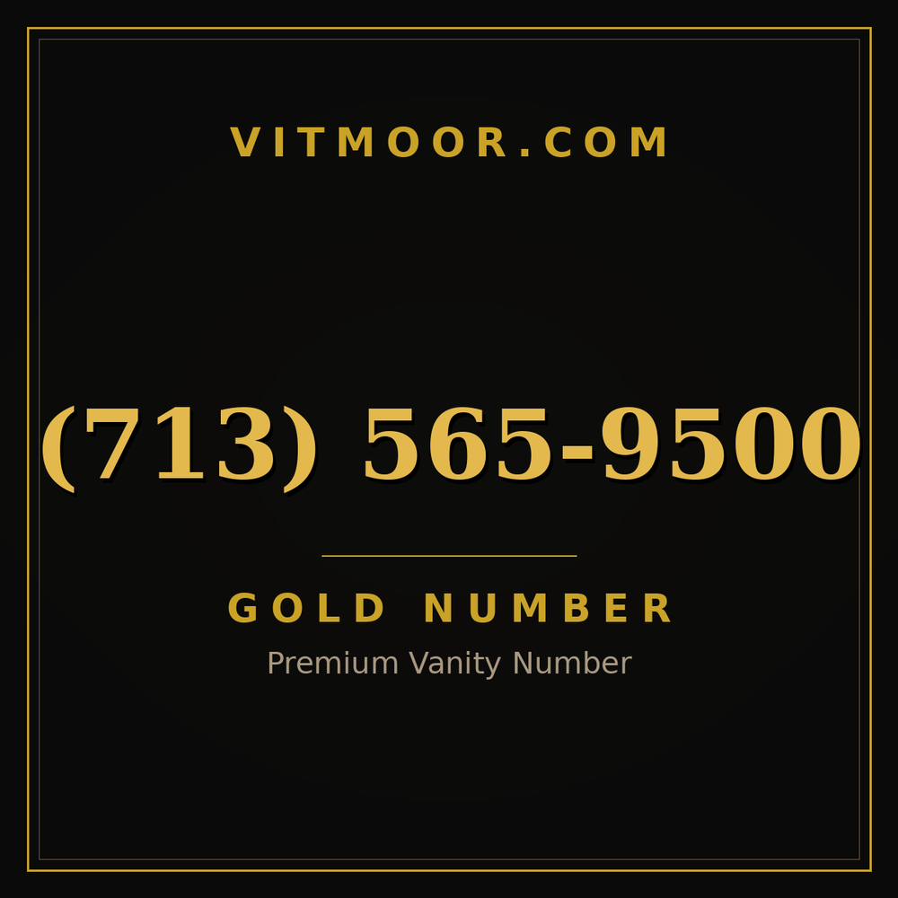 713 565-9500