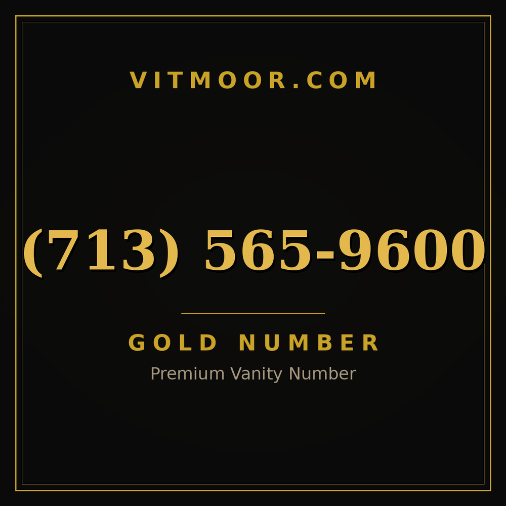 713 565-9600