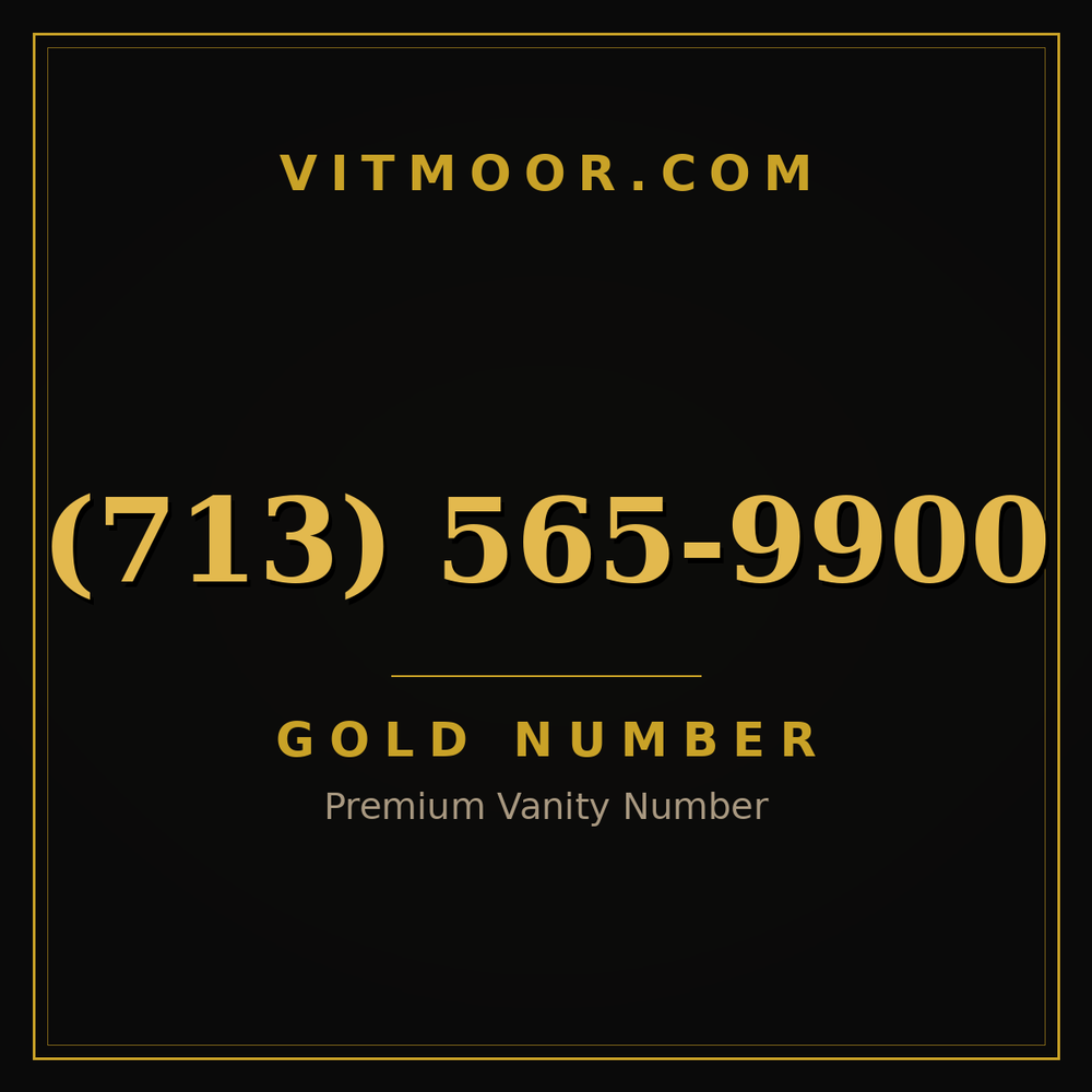 713 565-9900