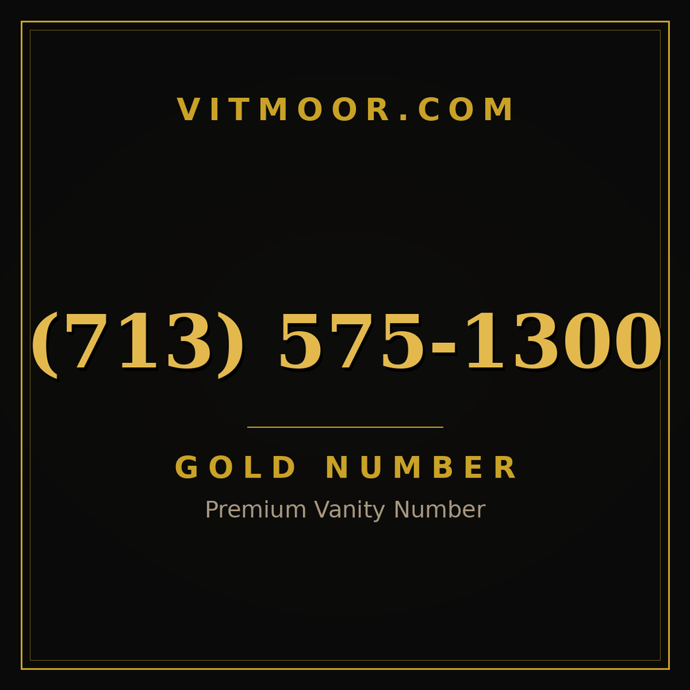 713 575-1300