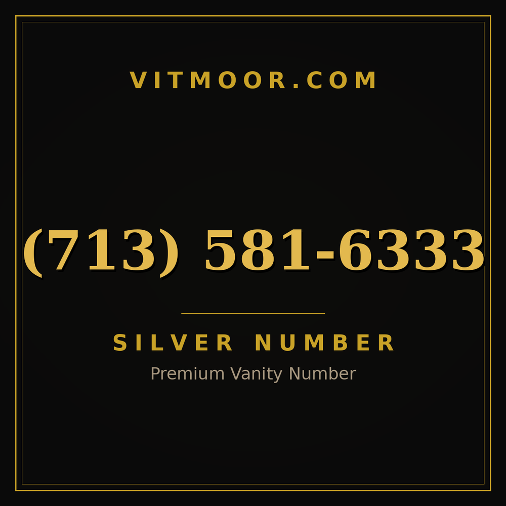 713 581-6333