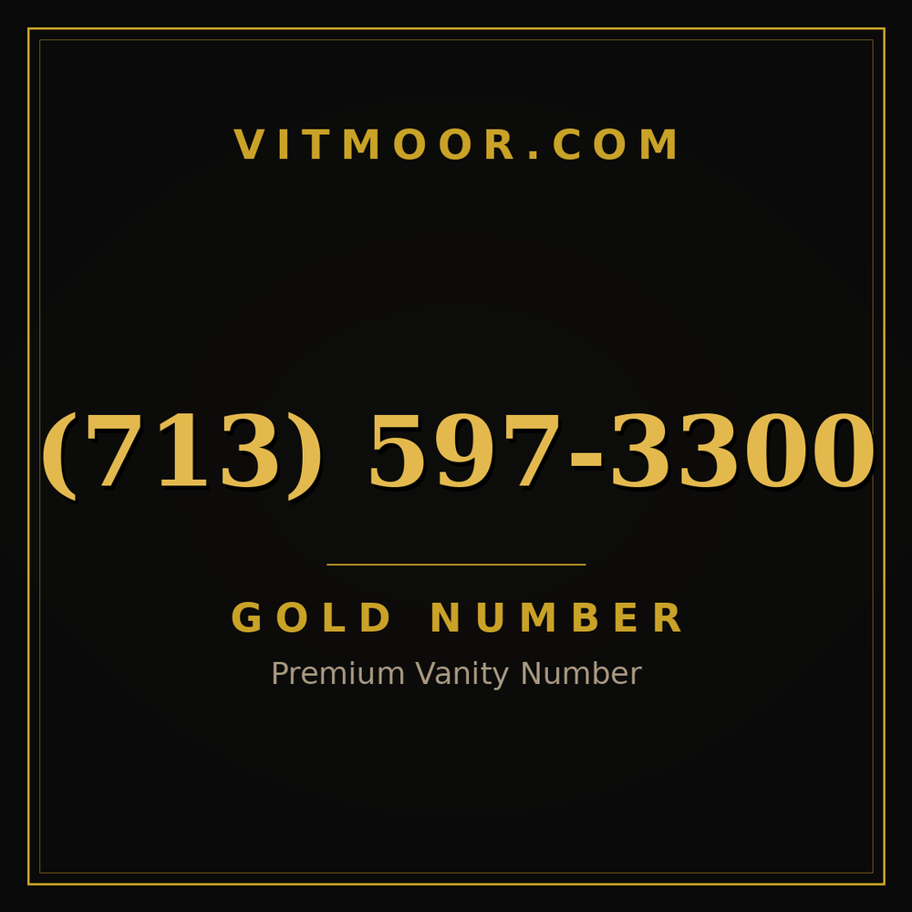 713 597-3300