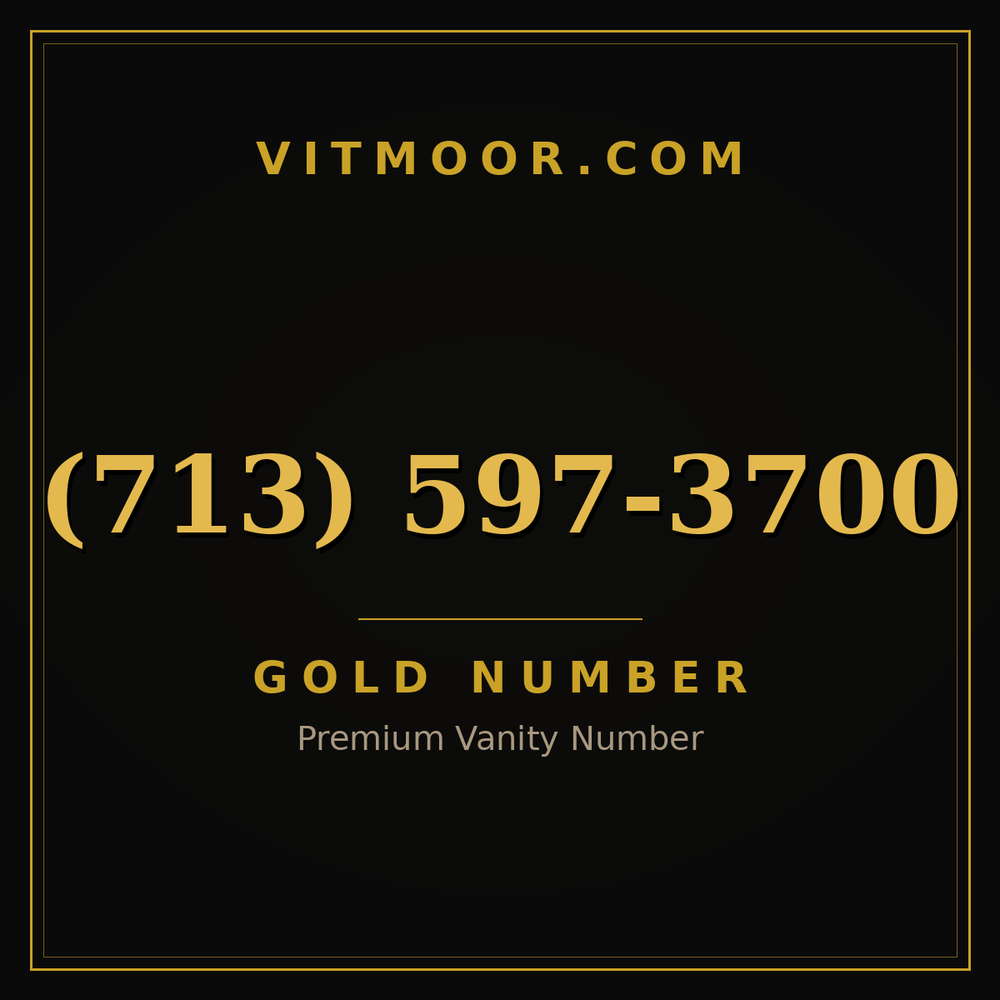 713 597-3700