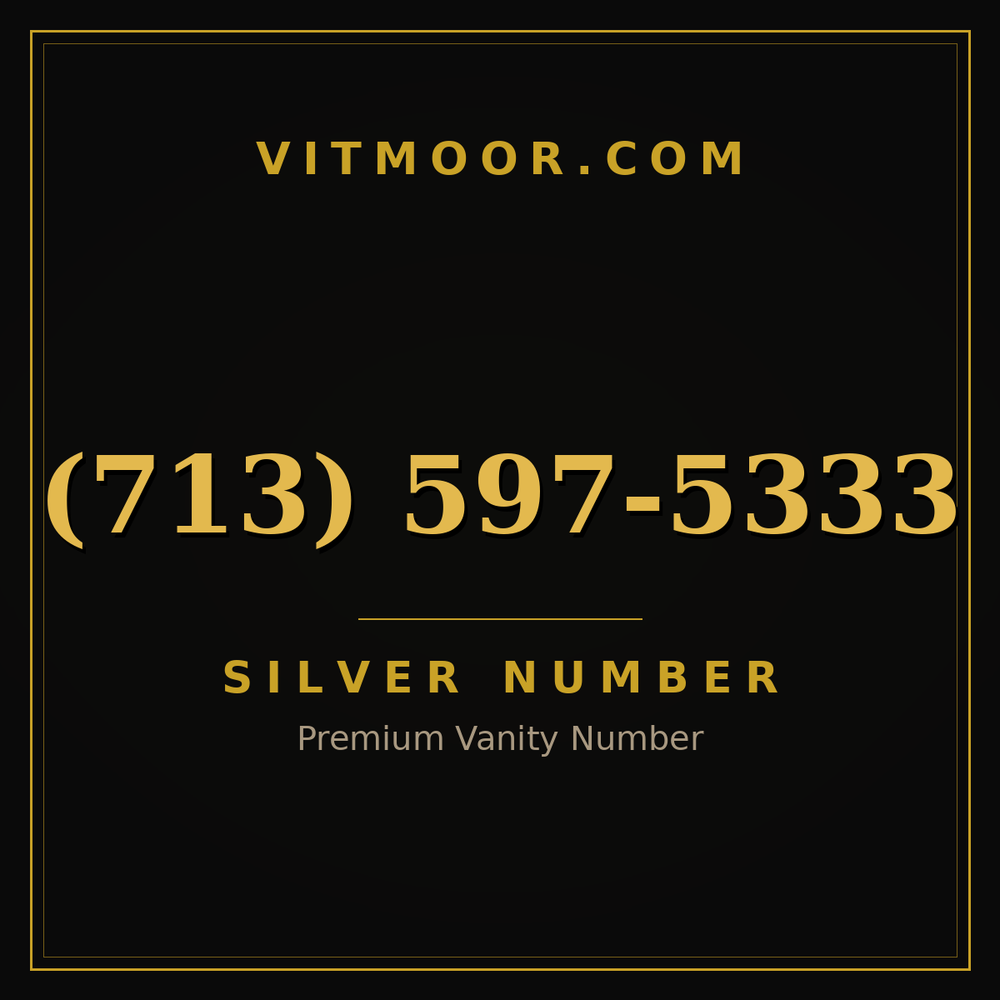 713 597-5333