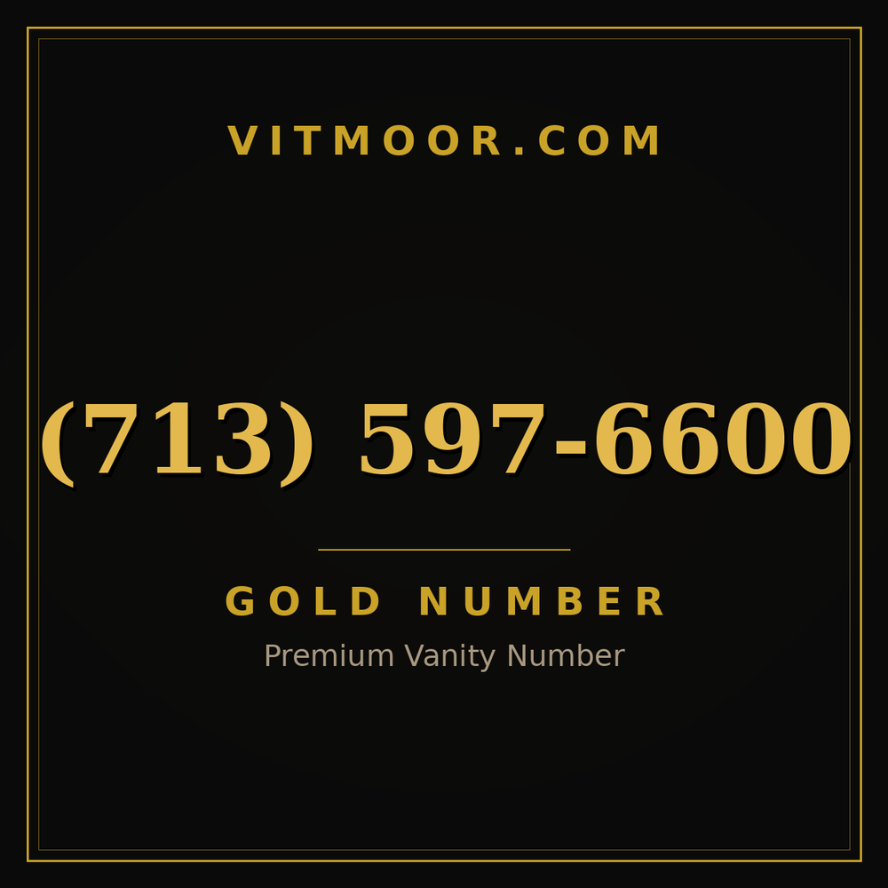713 597-6600