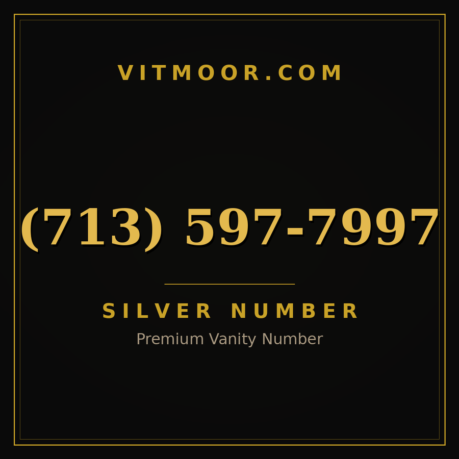 VITMOOR Silver premium number (713) 597-7997