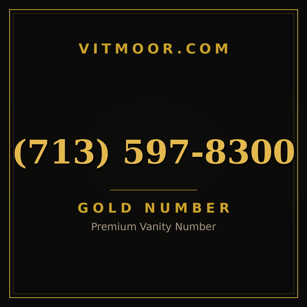 713 597-8300
