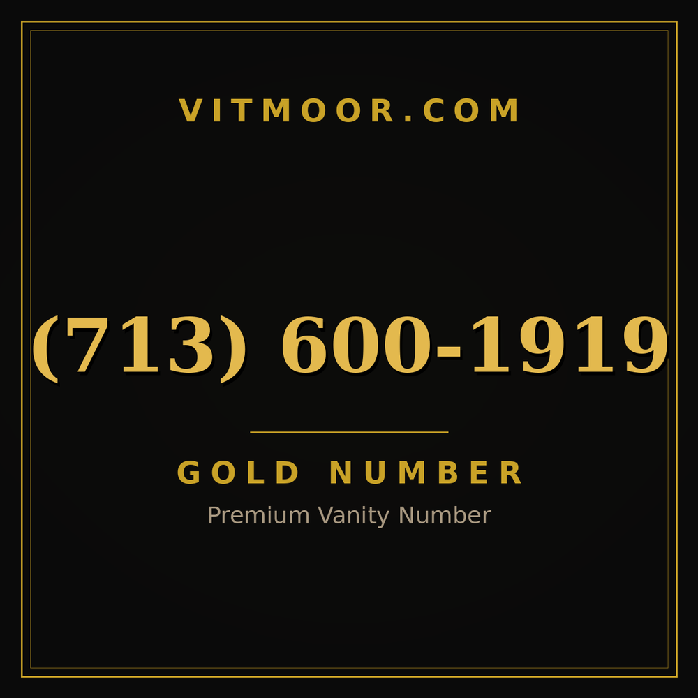 713 600-1919