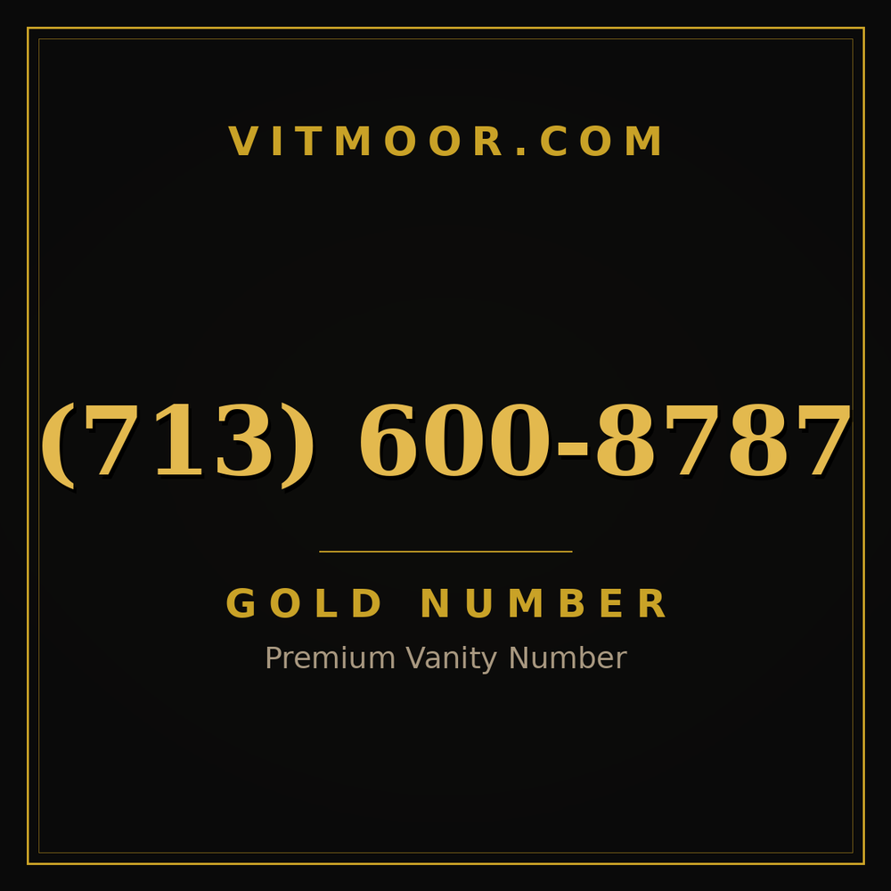713 600-8787