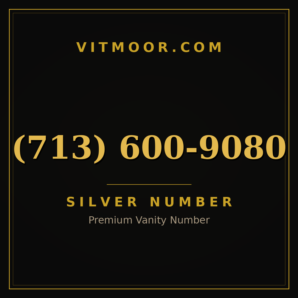 713 600-9080
