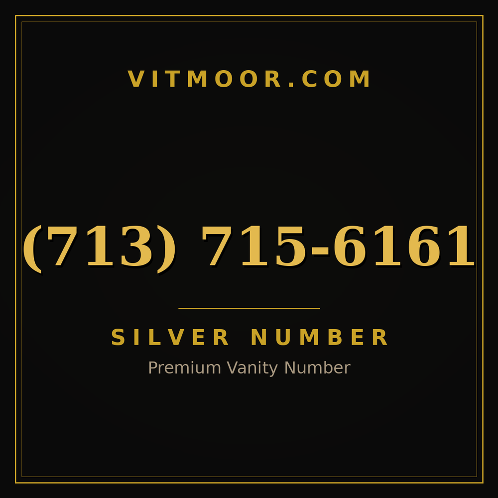 713 715-6161