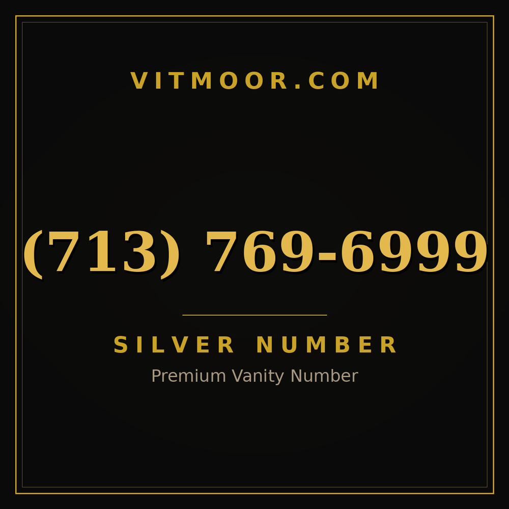 713 769-6999