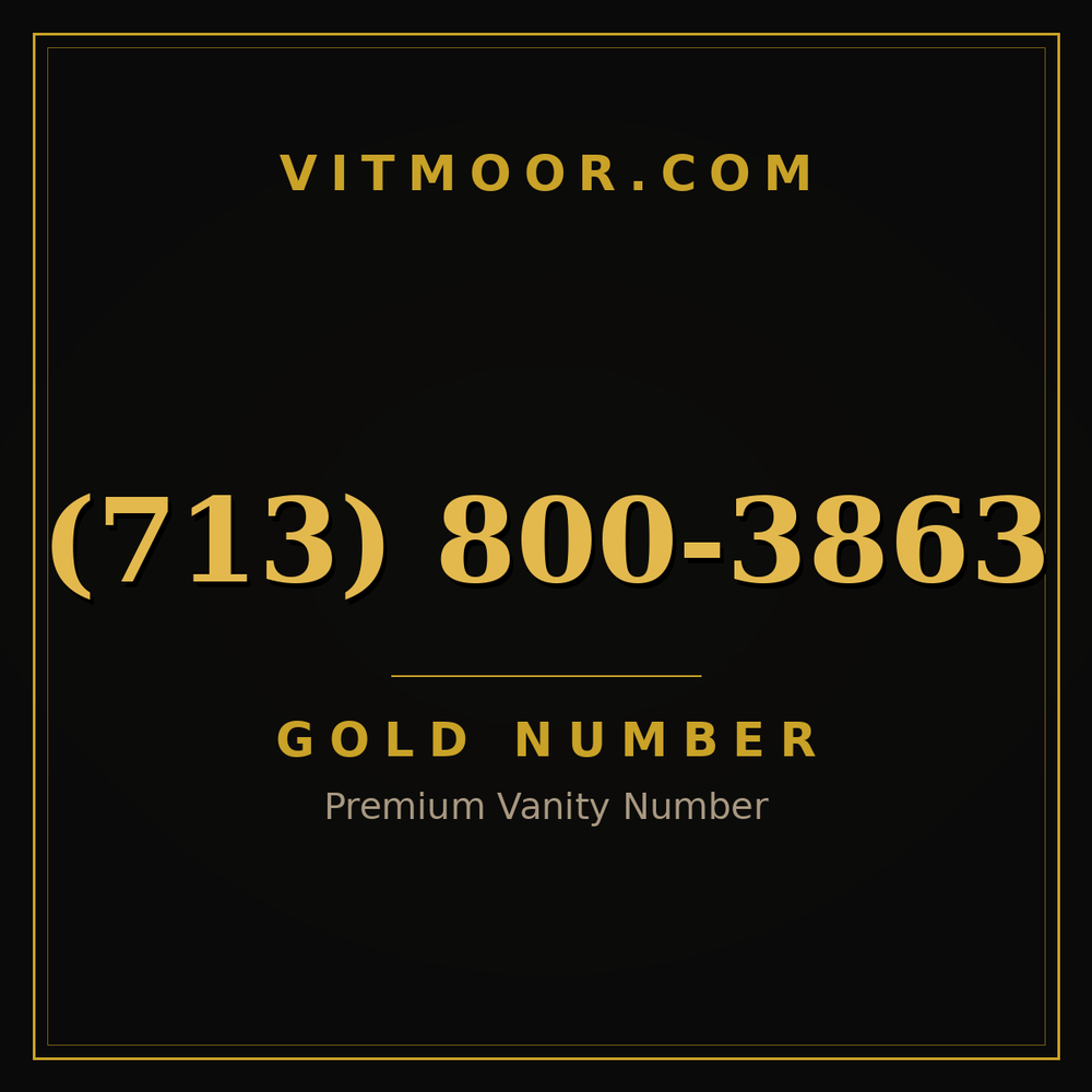 713 800-3863