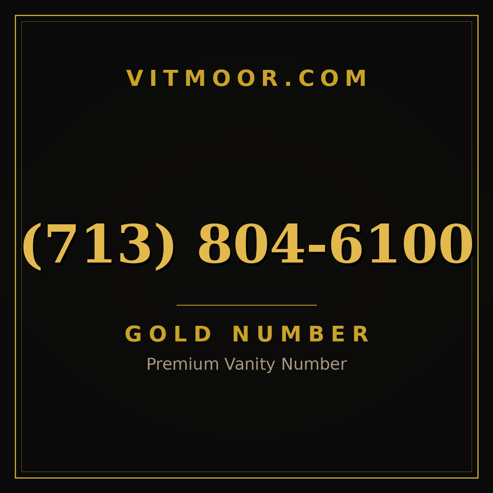 713 804-6100