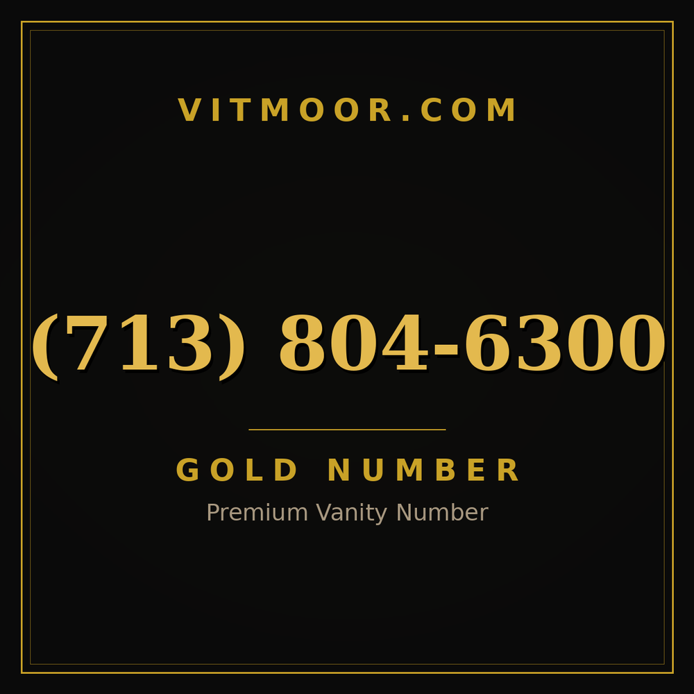 713 804-6300