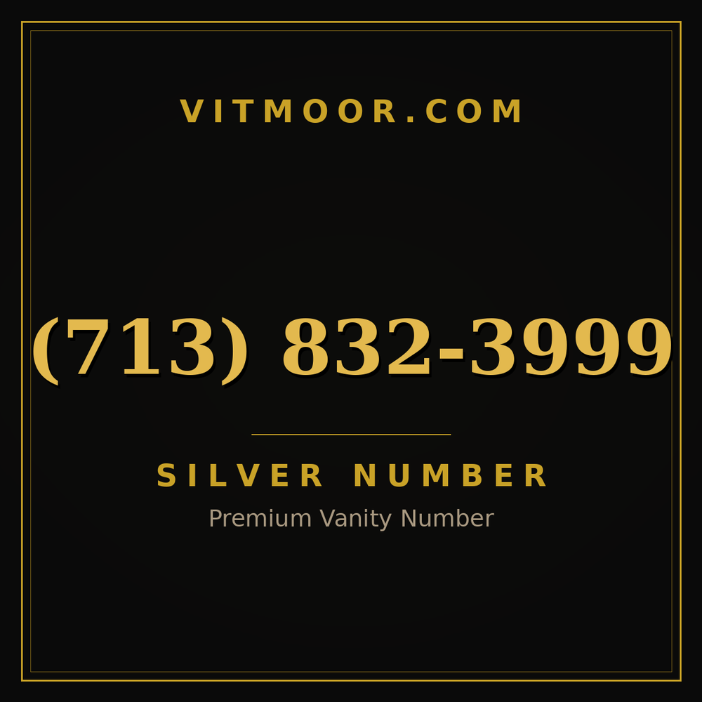 713 832-3999