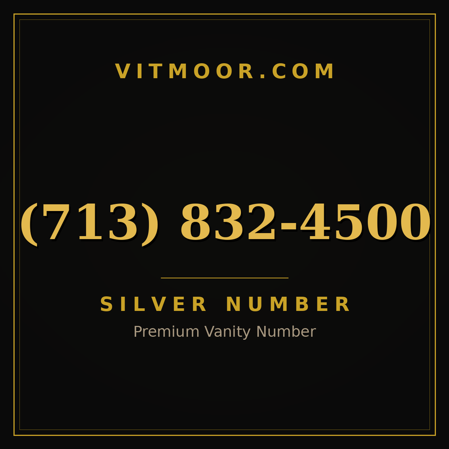 VITMOOR Silver premium number (713) 832-4500