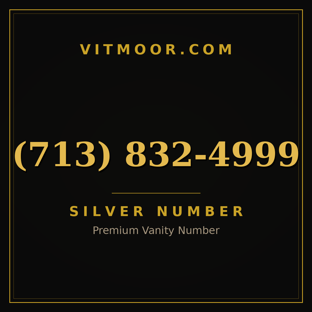 713 832-4999