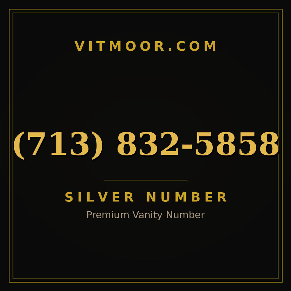 713 832-5858