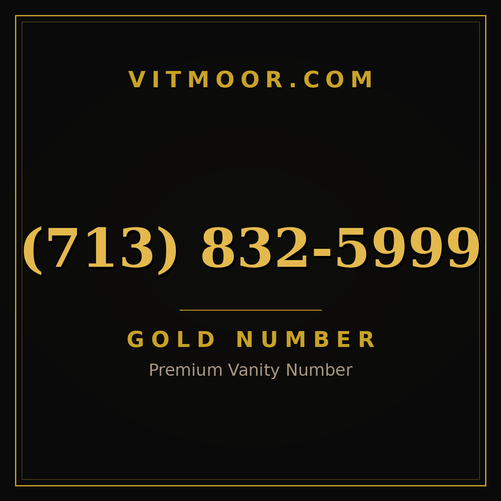 713 832-5999