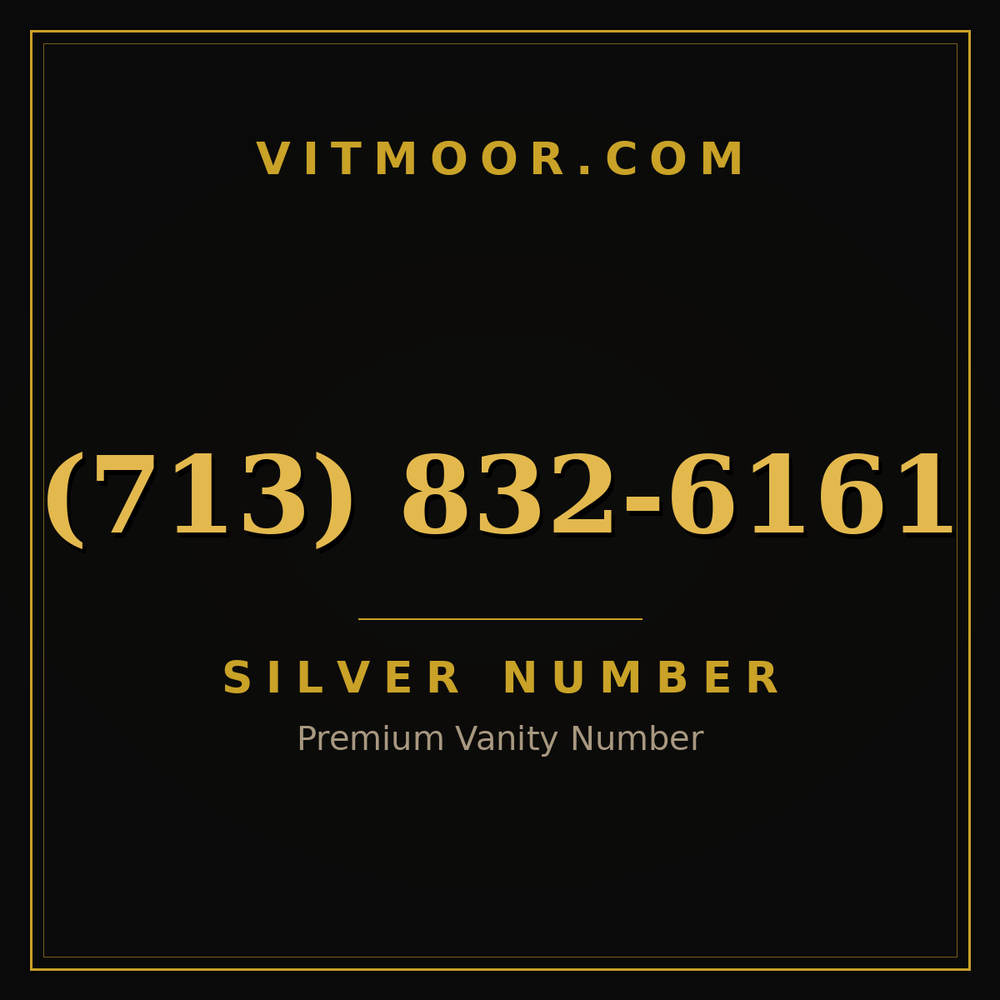 713 832-6161