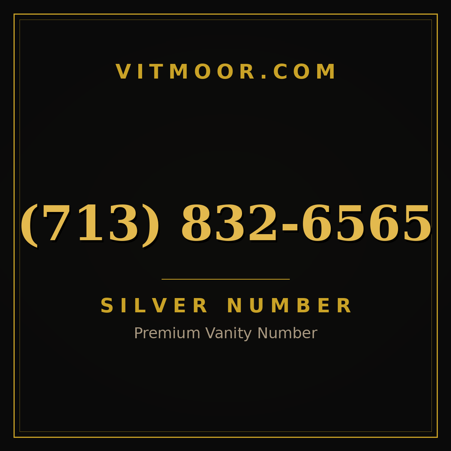VITMOOR Silver premium number (713) 832-6565
